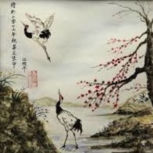 Meet your Posher, Jayme